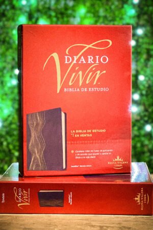 Biblia de Estudio Diario Vivir
