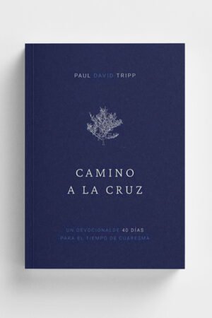 Camino a la Cruz