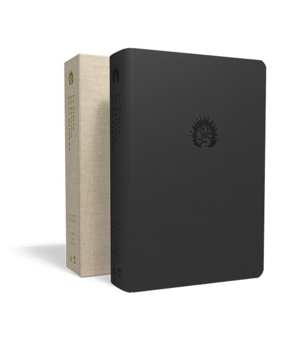 Biblia de Estudio de la Reforma