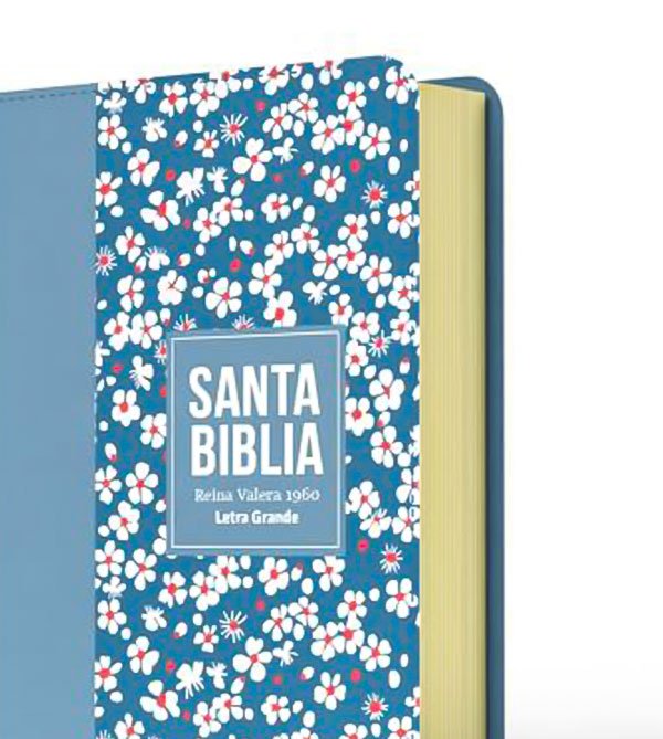 Biblia RV60 | Tamaño Compacta | Azul claro - Imagen 3