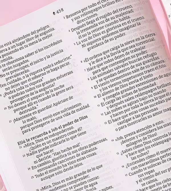 Biblia valor prémium NTV | SentiPiel, Rosa - Imagen 3
