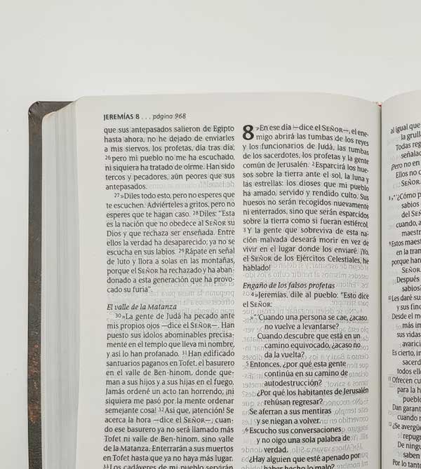 Santa Biblia NTV | Gálatas - Imagen 3